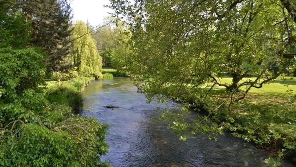 Incroyable voyage naturaliste en famille aux sources de la Bresle et alentour