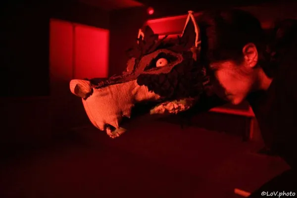 Pierre et le Loup - Cie Marionnettes d'Angoulême