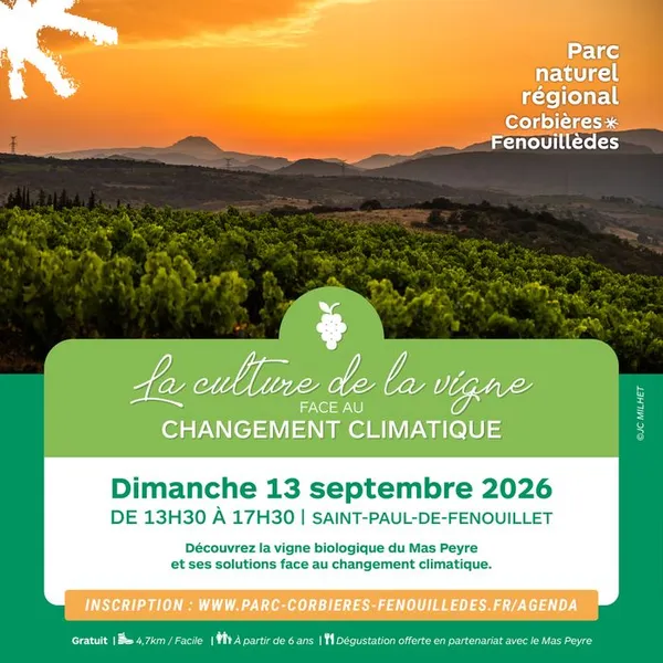 La culture de la vigne face au changement climatique