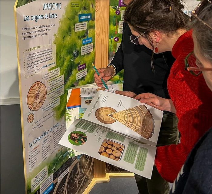 Exposition l’arbre et ses secrets