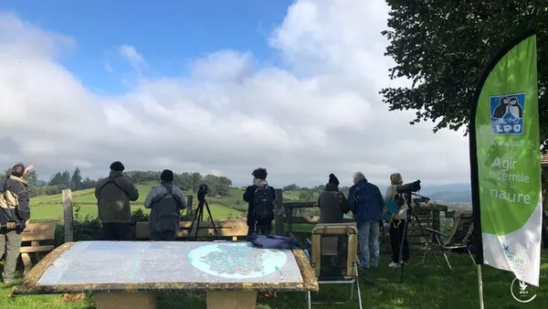 Embarquez avec la LPO pour découvrir le spectacle de la migration !