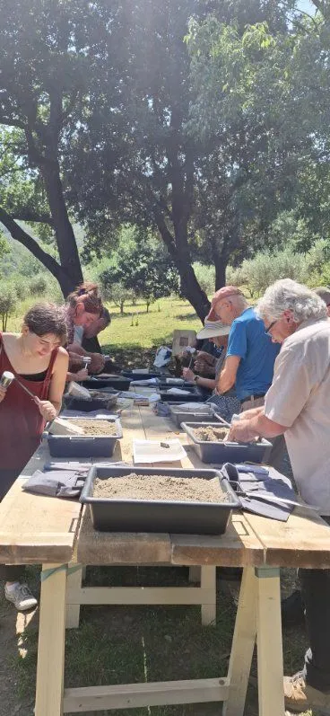 Atelier d'initiation à la sculpture de la pierre avec Guillaume Bessoule
