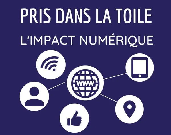 Pris dans la toile