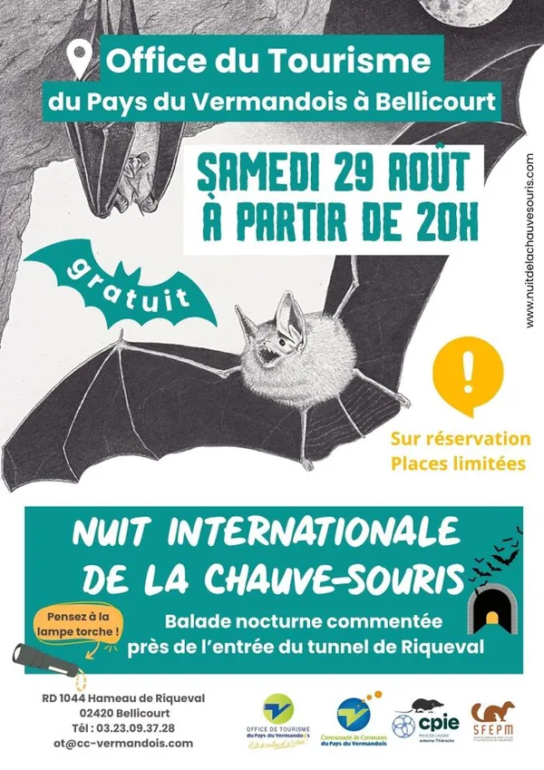 Nuit Internationale de la Chauve-Souris à Bellicourt