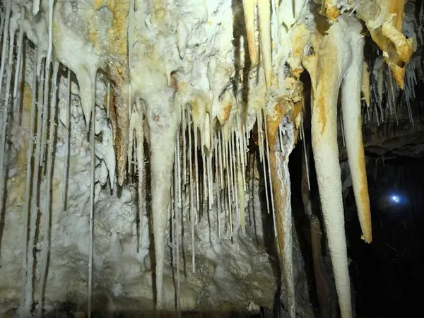 Découverte de la spéléologie dans l'Hérault