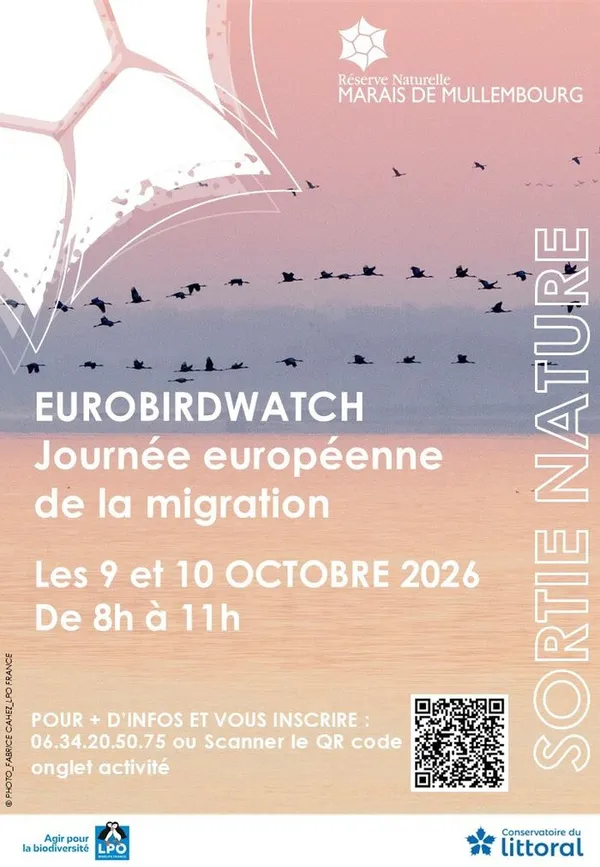 Eurobirdwatch - Journées européennes de la migration