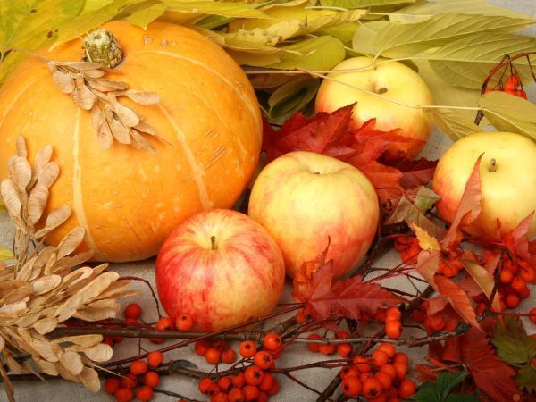 ATELIER CUISINE SOUPE RECONFORTANTE ET COMPOTE DE POMMES FRAICHES