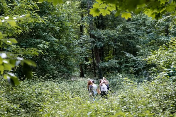Secrets de la Nature en forêt et au bord de la Bièvre (randonnée avec un guide Nature)