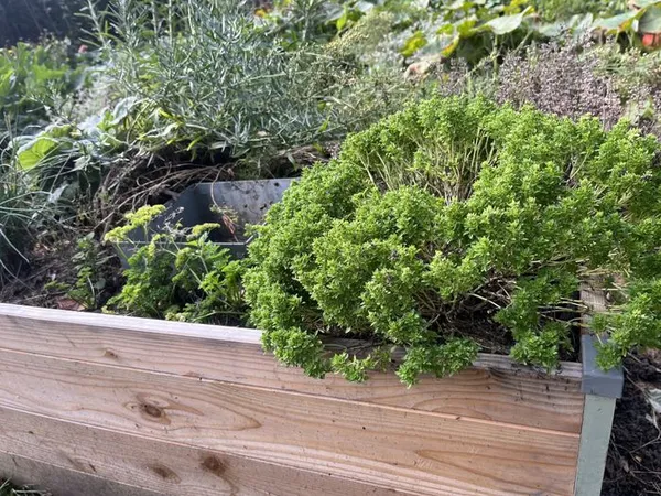 ATELIER d'INITIATION au JARDINAGE