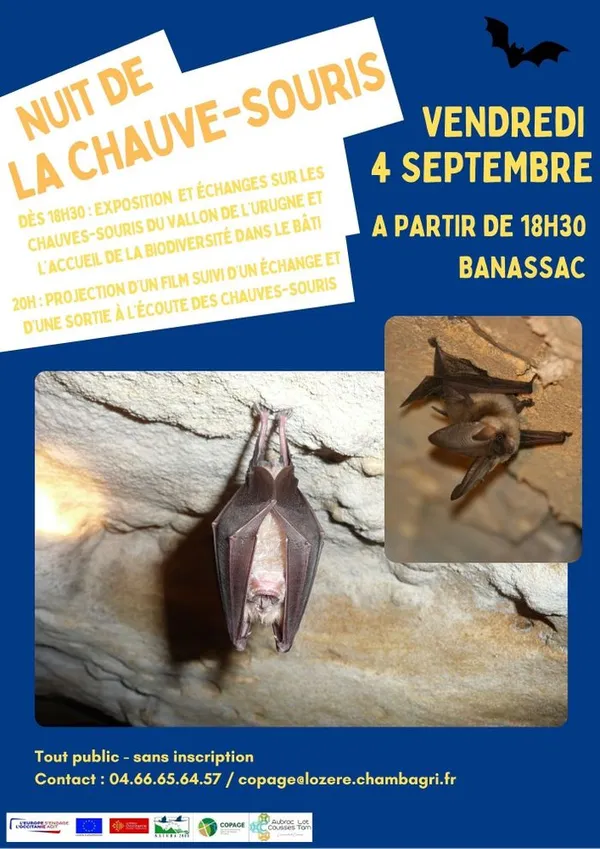 Nuit de la chauve souris
