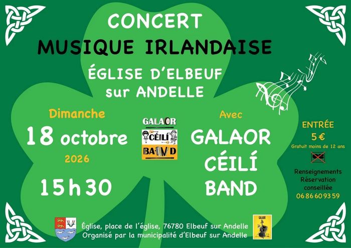 Concert de musique irlandaise