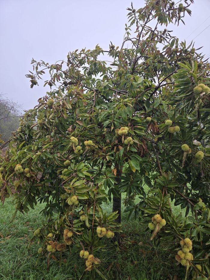 Novembre, la nature avant l’hiver