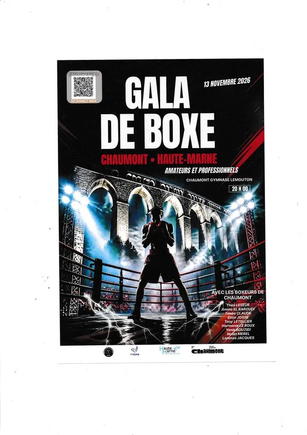GALA DE BOXE ANGLAISE