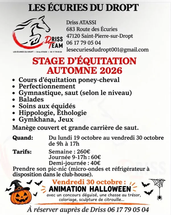 Stage équitation automne