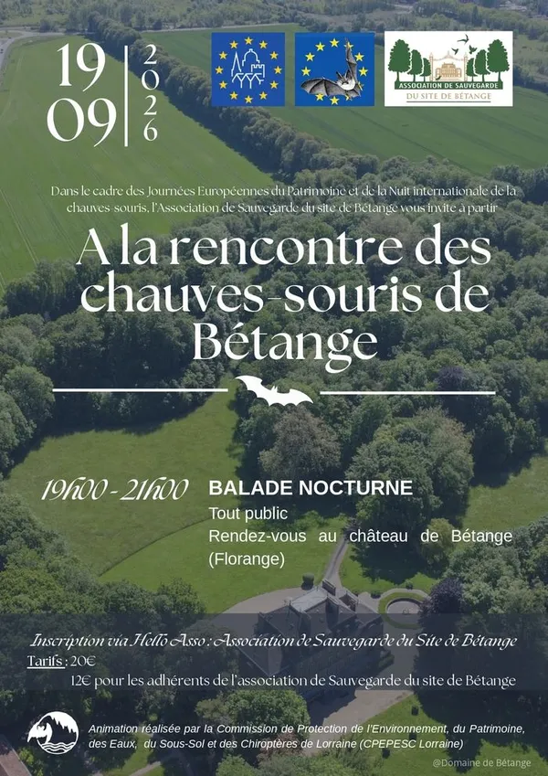 A la découverte des chauves-souris de Bétange