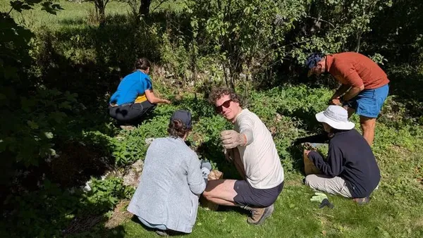 Stage découverte des plantes comestibles et médicinales