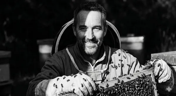 À la découverte de l'apiculture