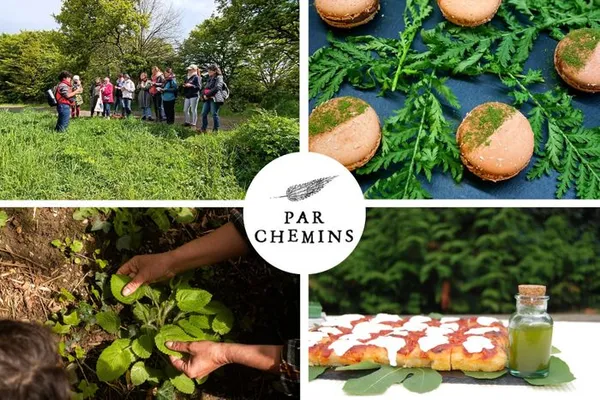 Cuisinez vos bouchées apéritives et cocktail à base de plantes sauvages