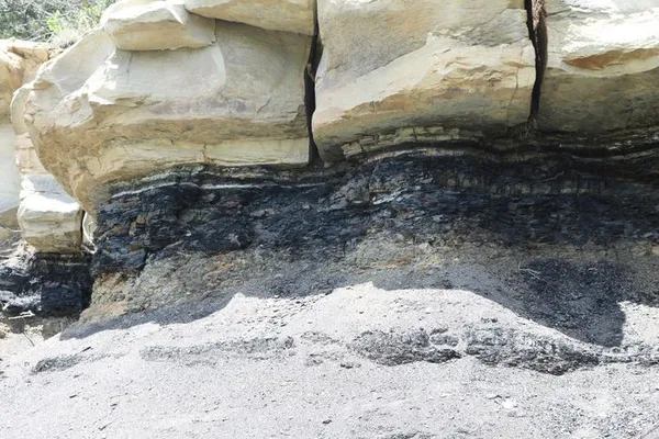 Les grandes crises biologiques de l'histoire de la Terre
