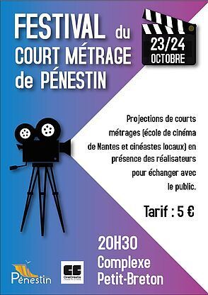 Festival de court métrage : Ecole CinéCréatis Nantes