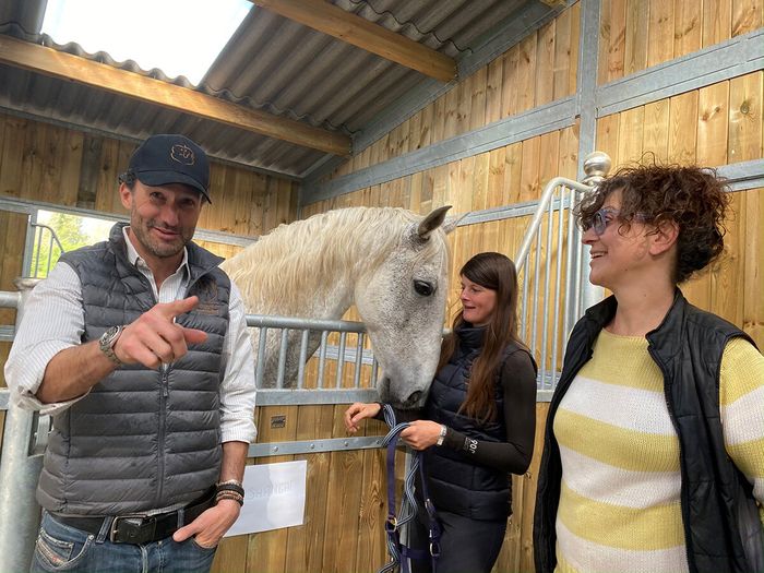 Introduction à l’Equicoaching ou ‘’médiation cheval’’ aux chevaux de la Martinière
