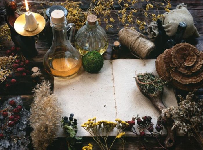 Plantes magiques et bêtes mystérieuses