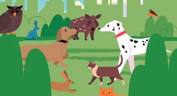 Village associatif "Bien-être animal"