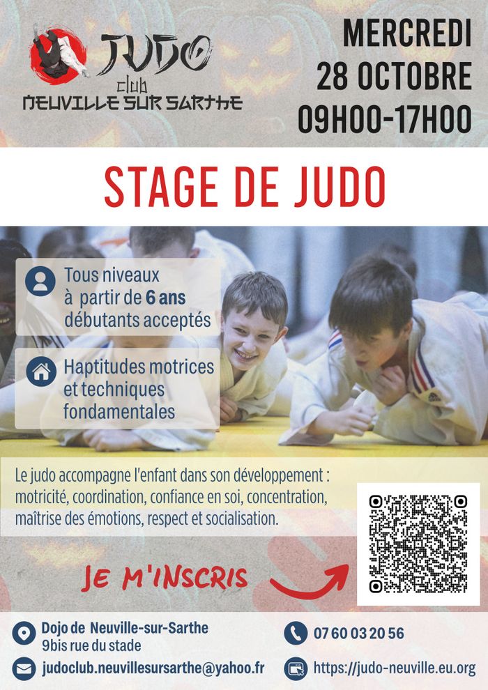 Stage de judo