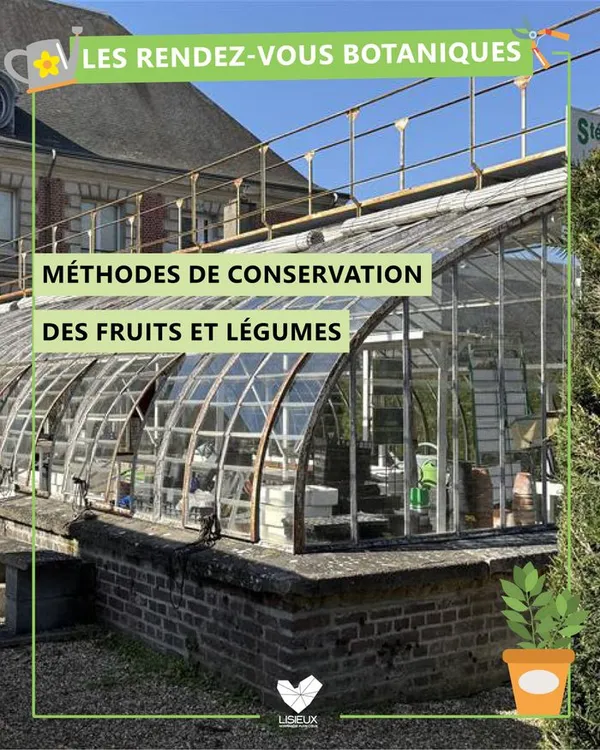 RDV botaniques : Méthodes de conservation des fruits et légumes