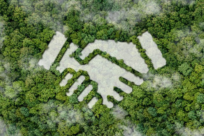 Engager sa compagnie dans une démarche de transition écologique.