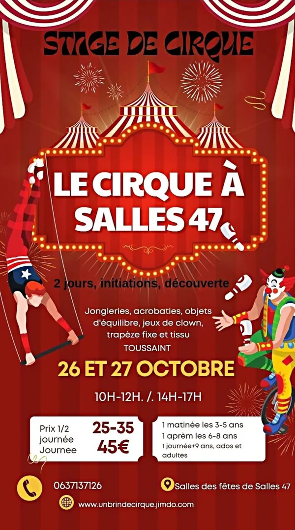Stages de cirque