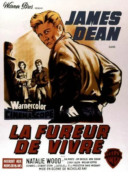 LA FUREUR DE VIVRE