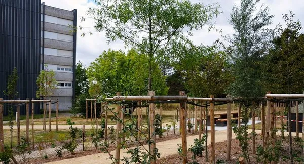Découverte du quartier des Moulins Liot