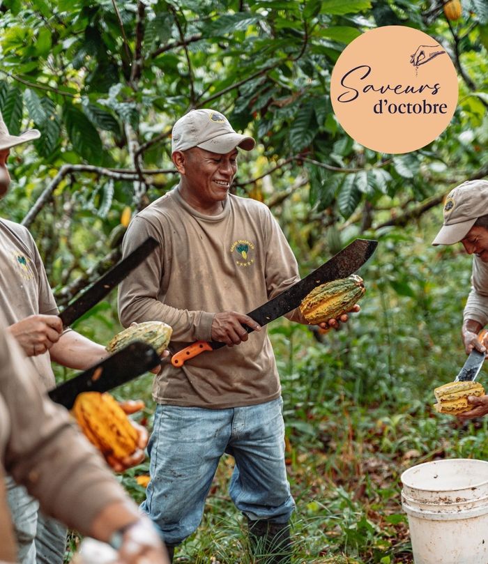 Atelier découverte du métier d'un chocolatier-planteur - Saveurs d'octobre