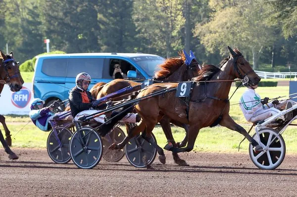 A la découverte de l'hippodrome et de ses côté coulisses pendant les courses