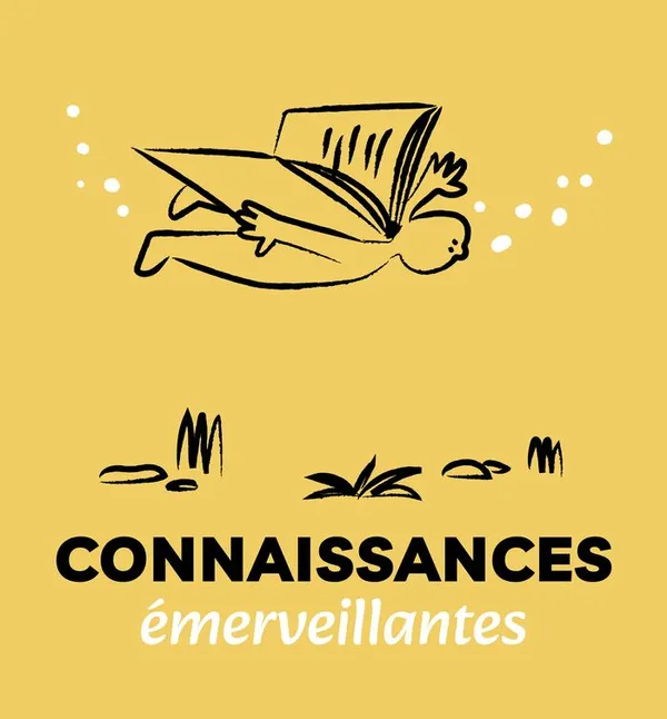 Atelier "Énigmes & intelligence collective""