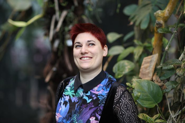 Crâne de piafs et autres têtes de linotte