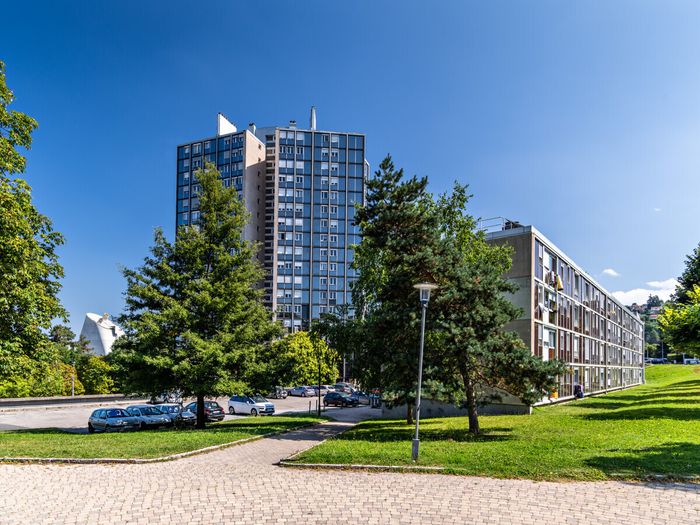 Visite "Firminy-Vert en chantier"