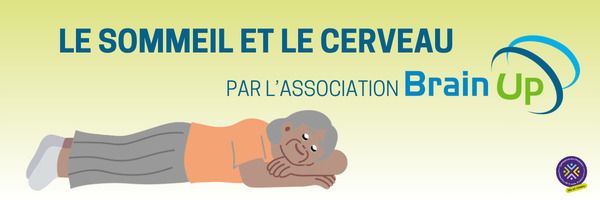 Le sommeil et le cerveau