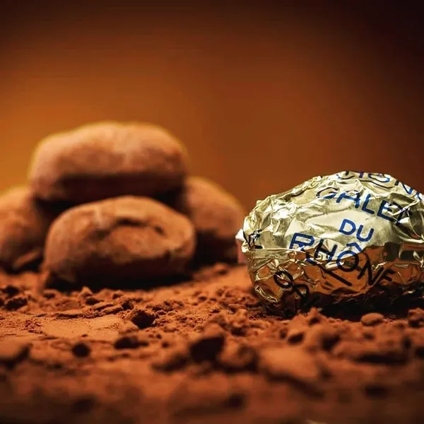 DECOUVERTE DE LA CHOCOLATERIE PANEL