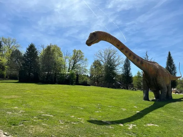 Visite du Parc Dino-Zoo