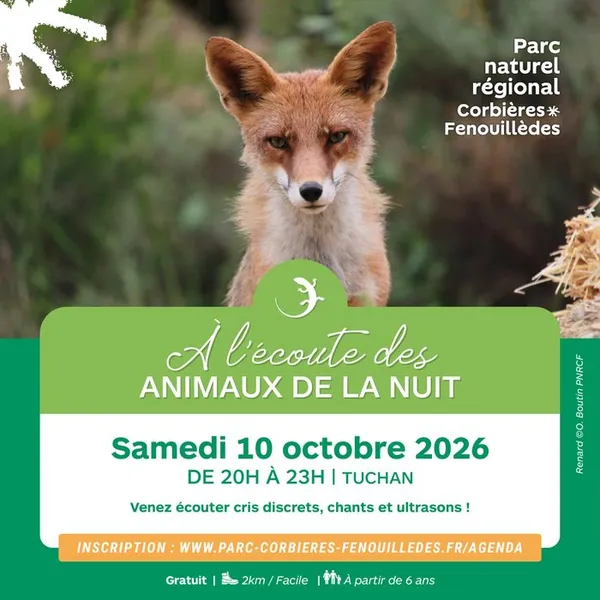 A l'écoute des animaux de la nuit