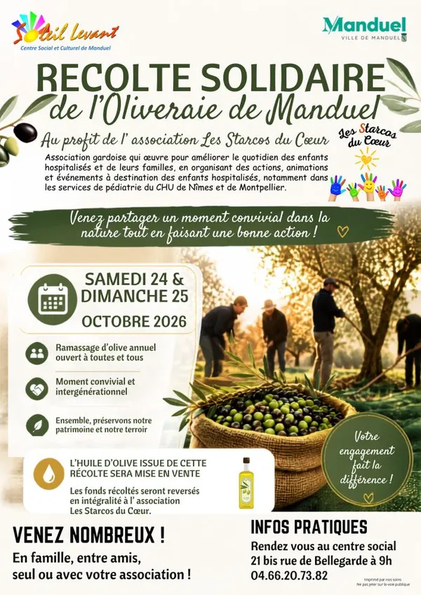 Récolte solidaire de l'oliveraie de Manduel