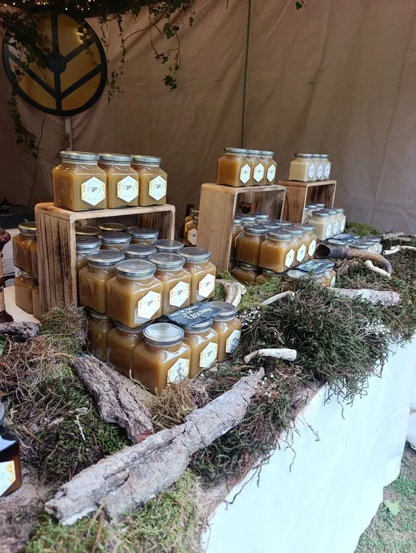 À la découverte de l'abeille