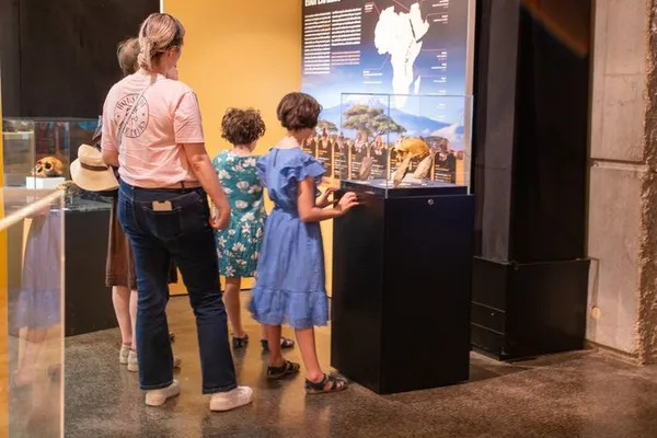 Visite libre du musée de la Préhistoire