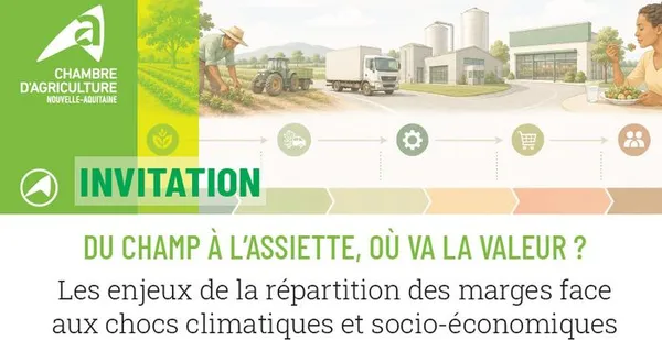 Du champ à l'assiette, où va la valeur ?