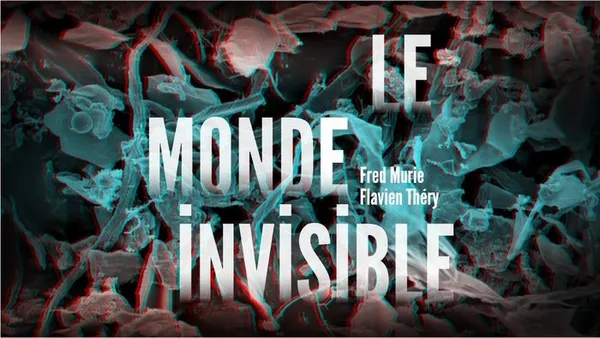 Le Monde invisible - Flavien Théry & Fred Murie