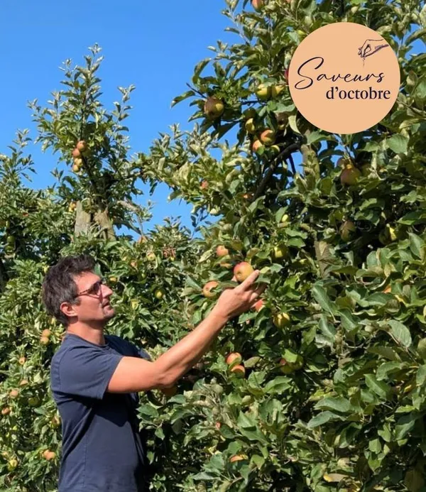À la découverte du verger, cueillette et dégustation de pommes - Saveurs d'octobre