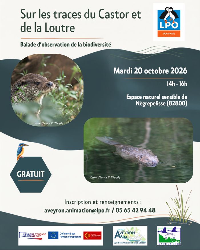 Sur les traces de la Loutre et du Castor