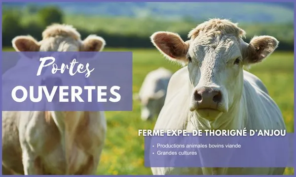 Portes Ouvertes EFEA 2026-2027 : Centre de Thorigné d'Anjou (49)